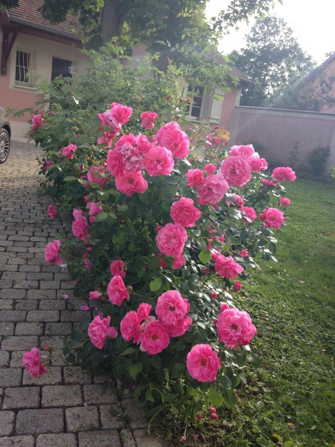 Rose Garden Studio Giverny Esterno foto